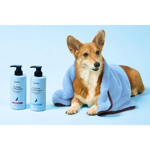 쿤달 네이처 마일드 퍼퓸 애견 샴푸 화이트런더리향 솔직 후기 | 실제 사용자 리뷰 총정리 - 상품 이미지 4