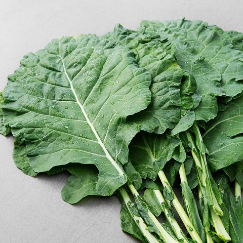 유기농 인증 녹즙용 케일, 1kg, 1개