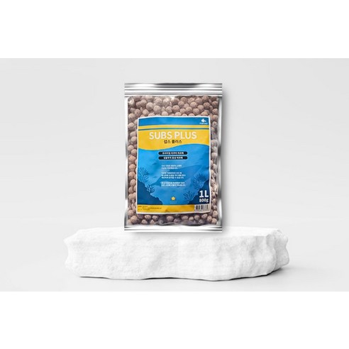 맑고 건강한 어항, 답답함 대신 찾아오는 여유