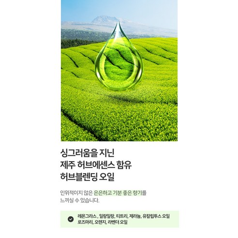 허브마리1848 초고농축 섬유유연제 제주동백 카멜리아 힐 후기 분석 - 제품 성분표 상세