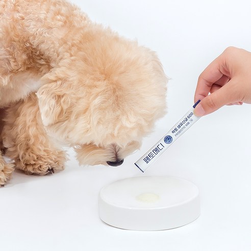 페토메디 강아지 락토 보장균 600억 영양제 60포 솔직 후기 | 실제 사용자 리뷰 총정리 - 상품 이미지 2