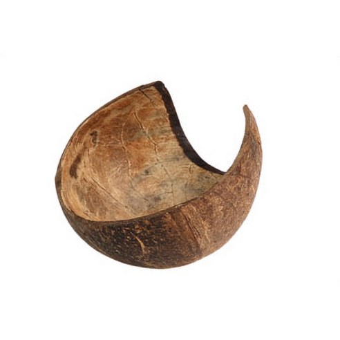 소동물 코코넛 은신처 이미지 2