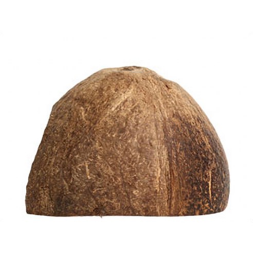 소동물 코코넛 은신처 이미지 3