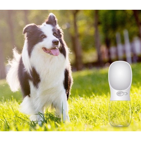 피비플러스 애견 물컵 솔직 후기 | 실사용자 리뷰 분석 - 상품 이미지 3