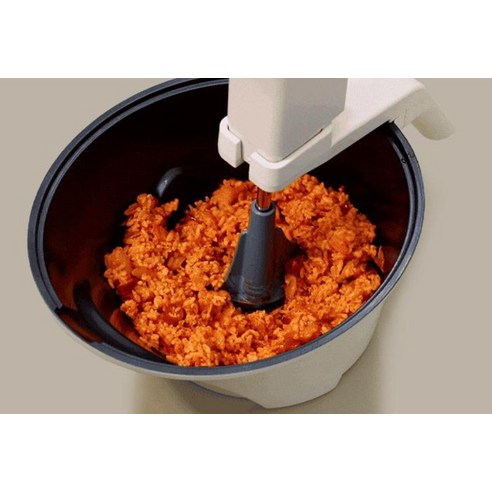 로이첸 인덕션 아이지글 자동회전롤팬 크림 후기 분석 - 회전 날개 상세