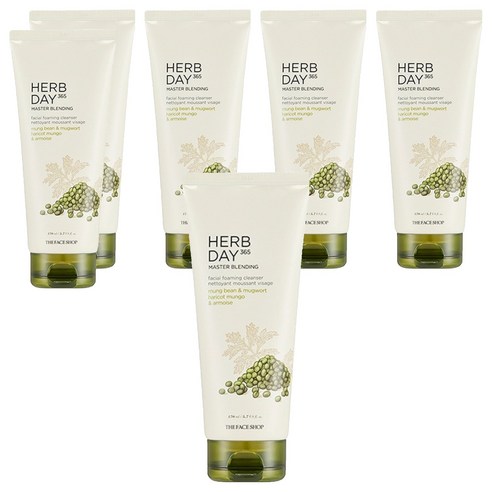 더페이스샵 허브데이 365 마스터블렌딩 페이셜 클렌징 폼 녹두, 170ml, 6개