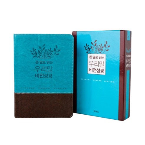 큰글로 읽는 우리말 비전성경(중)(파란색)(무지퍼), 두란노서원