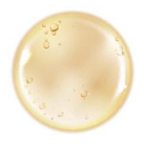 더마팩토리 PDRN 4% 앰플, 쫀쫀한 피부 탄력 되찾아 줄 솔루션