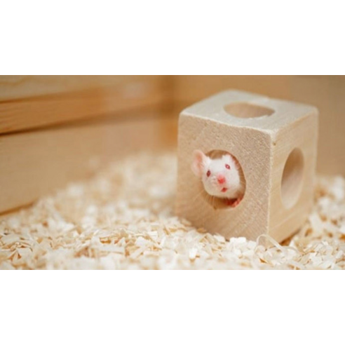 밀라모어 소프트 베딩 솔직 후기 | 실제 사용자 리뷰 총정리 - 상품 이미지 2