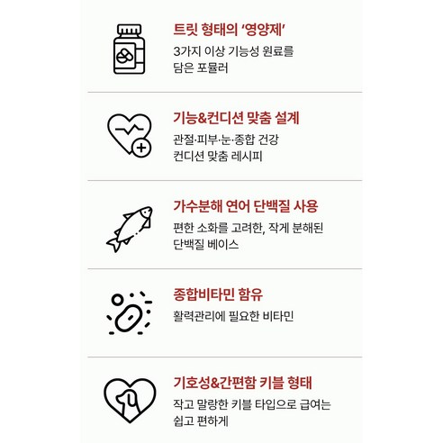 건강한 반려견의 모습과 영양제