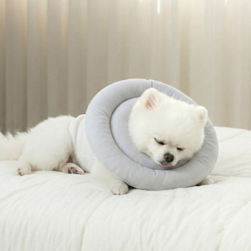 레토 반려동물 방수 초경량 넥카라 솔직 후기 | 실제 사용자 리뷰 총정리 - 상품 이미지 2