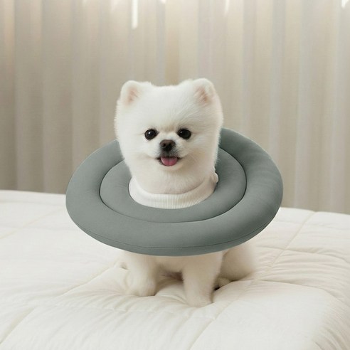 레토 반려동물 방수 초경량 넥카라 이미지 4