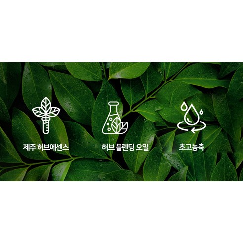 허브마리1848 초고농축 섬유유연제 제주동백 카멜리아 힐 후기 분석 - 1.6L 리필팩 사이즈감