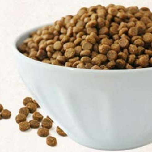 건강백서 전연령 강아지 기능성 사료 이미지 2