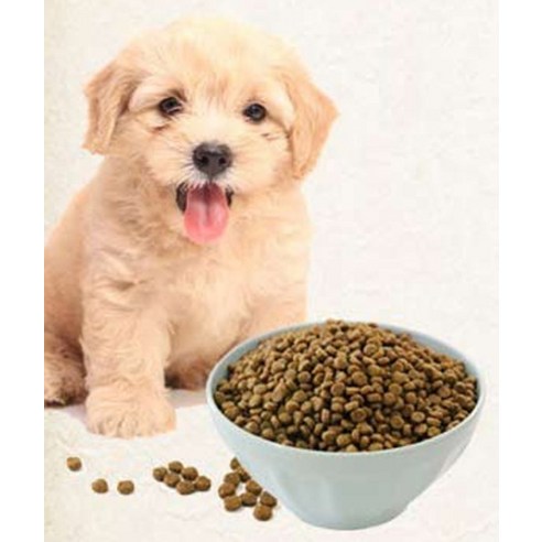 건강백서 전연령 강아지 기능성 사료 솔직 후기 | 실제 사용자 리뷰 총정리 - 상품 이미지 3