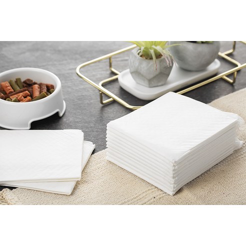 탐사 베이직 배변패드 이미지 2