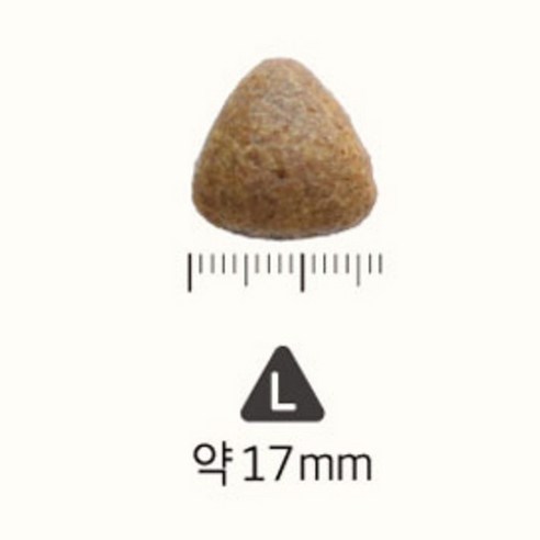 네츄럴코어 전연령 강아지 에코1 하이포알러제닉 건식사료 큰입자 솔직 후기 | 실제 사용자 리뷰 총정리 - 상품 이미지 3