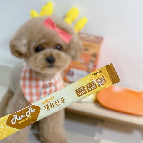 리얼Pet 반려동물 영양제 솔직 후기 | 실제 사용자 리뷰 총정리 - 상품 이미지 4