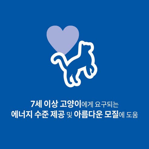 힐스사이언스다이어트 어덜트 고양이 7+ 기능성 사료 솔직 후기 | 실제 사용자 리뷰 총정리 - 상품 이미지 4