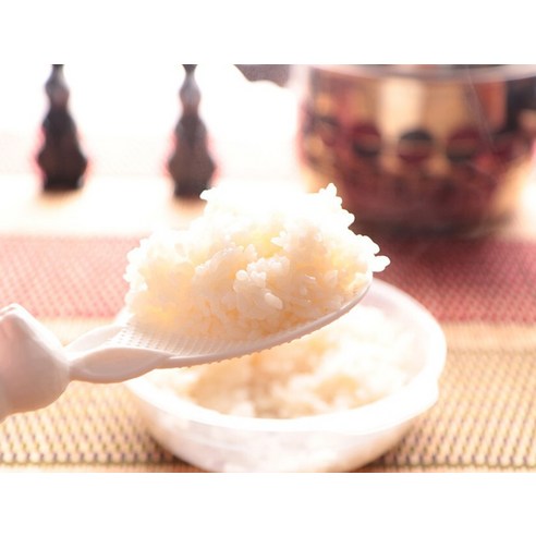 니드앤니드 밥알이 잘 붙지않는 스탠드 밥주걱 이미지 4