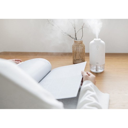 오아 듀얼미스트 미니 휴대용 초음파 탁상용 무선가습기 - 가습기/에어워셔 | 쿠팡