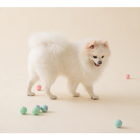 바잇미 강아지 뉴 미니 테니스공 장난감 3종 이미지 4