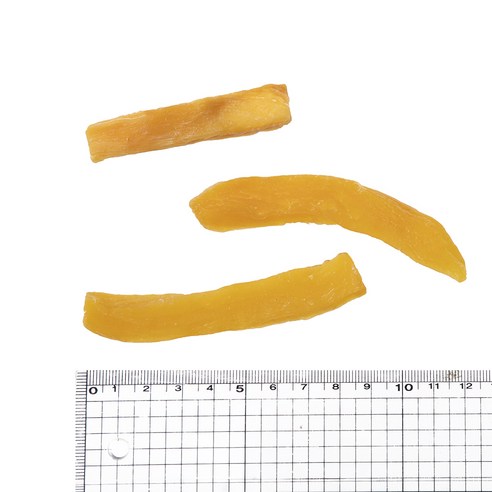 탐사 고구마말랭이를 즐기는 강아지