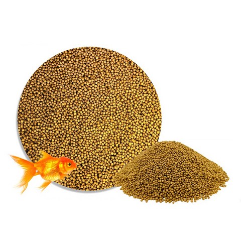 아쿠아테라 골드피쉬 금붕어 사료 솔직 후기 | 실제 사용자 리뷰 총정리 - 상품 이미지 3