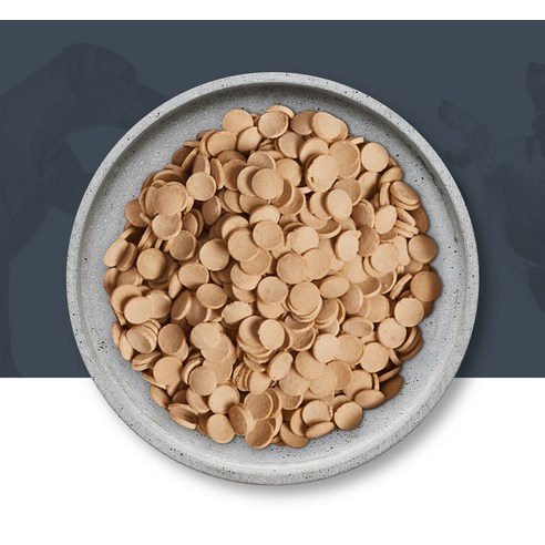 닥터독 강아지 기능성 사료 솔직 후기 | 실제 사용자 리뷰 총정리 - 상품 이미지 4