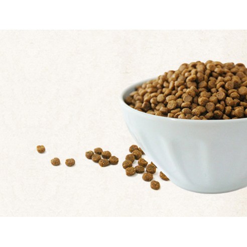 건강백서 강아지 건강한 피부 기능성 사료 이미지 3