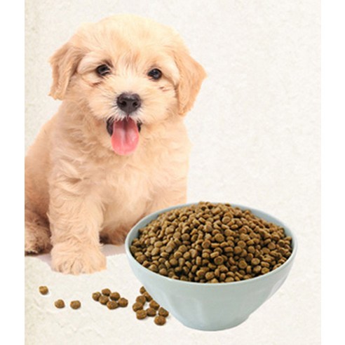 건강백서 강아지 건강한 피부 기능성 사료 이미지 2