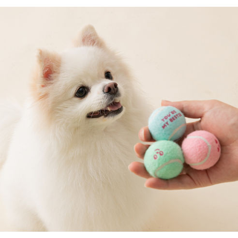 바잇미 강아지 뉴 미니 테니스공 장난감 3종 솔직 후기 | 실제 사용자 리뷰 총정리 - 상품 이미지 3