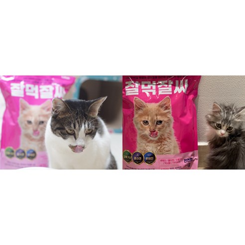 잘먹잘싸 전연령용 고양이 건식사료 이미지 4
