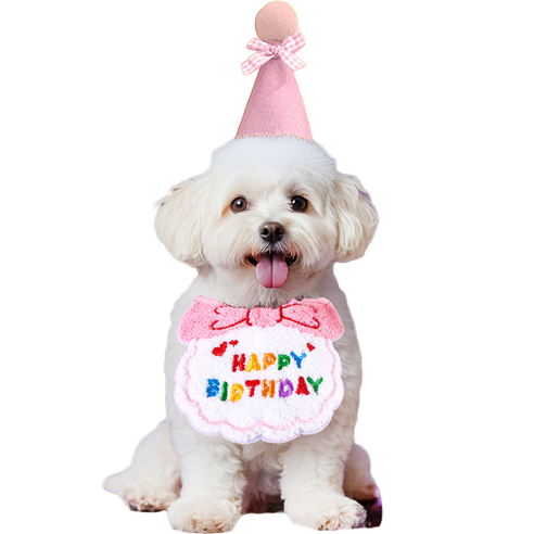 마르벨라 반려동물 멍냥이 생일파티 스카프 + 모자 세트 Free, 파스텔핑크, 1세트