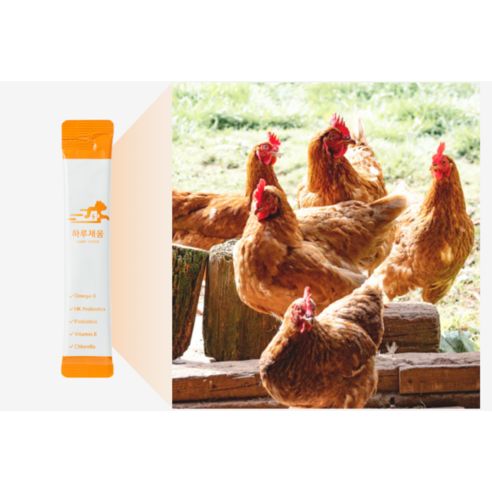 프로젝트21 고양이 하루채움 종합 영양제 이미지 2