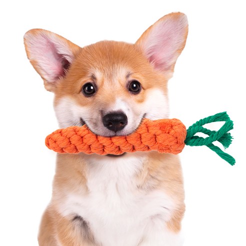 코멧 펫 당근 실타래 장난감 솔직 후기 | 실사용자 리뷰 분석 - 상품 이미지 2