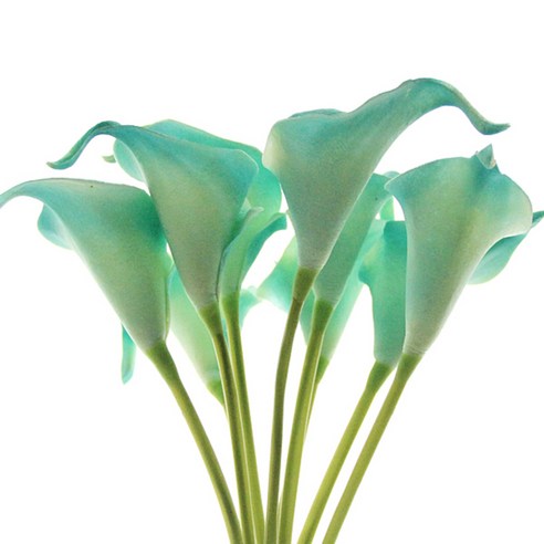 리버그린 카라 조화부쉬, 블루, 1개