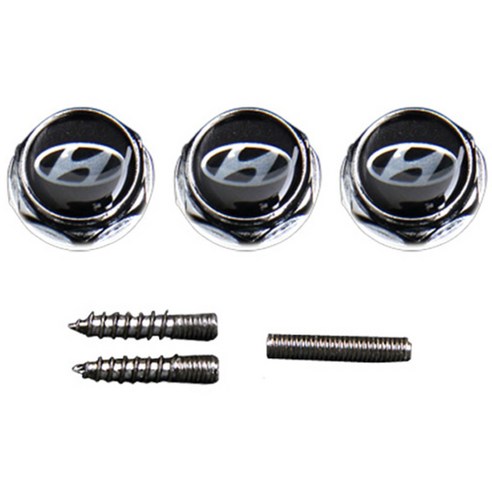 현대자동차 번호판 볼트 세트 실사용 후기 | 효과 있을까? 썸네일