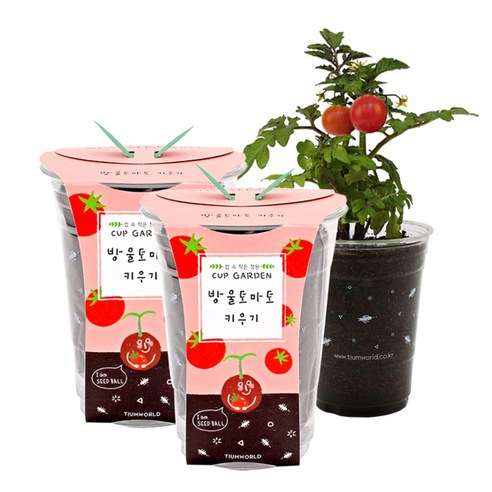 틔움세상 컵가든 식물 키우기세트, 방울토마토