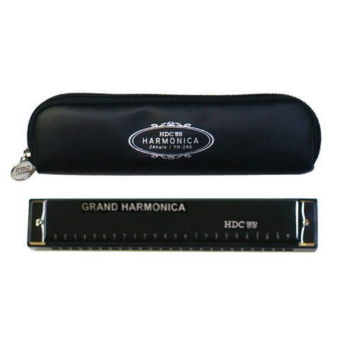 HDC영창 24홀 트레몰로 하모니카 YH-24G + 가죽케이스 실사용 후기 | 효과 있을까? - 상품 이미지 1