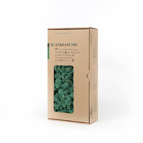 스칸디아모스 생화 이끼 500g RM500