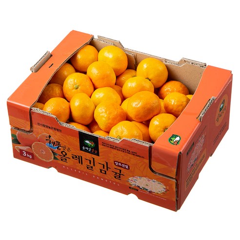 GAP 해풍맞은 올레길 Ai선별 당도선별 11brix 감귤 후기 분석 - 세밀한 선별 과정