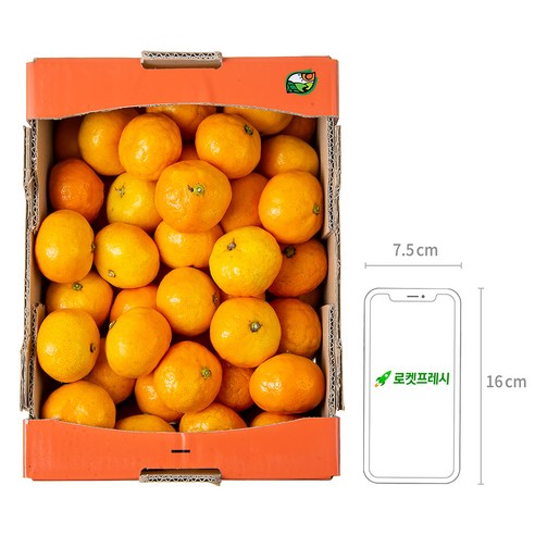 GAP 해풍맞은 올레길 Ai선별 당도선별 11brix 감귤 후기 분석 - 선명한 과육 색상