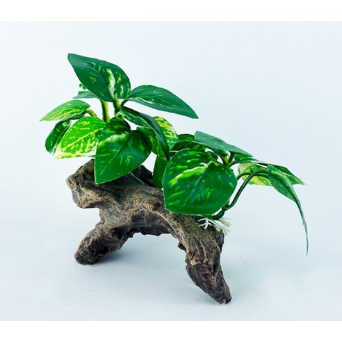 모비딕 오푸아 은신처 솔직 후기 | 실제 사용자 리뷰 총정리 - 상품 이미지 2