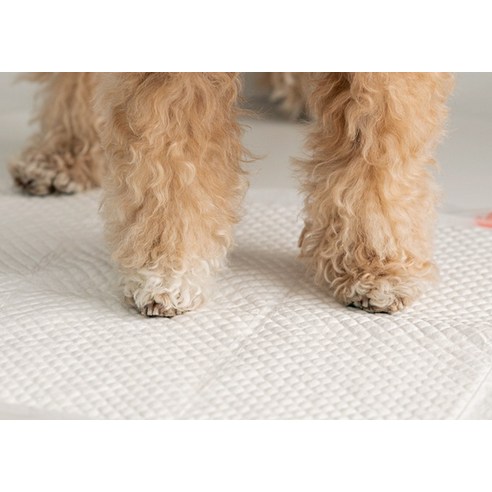 바잇미 보솜패드 라이트 배변패드 표준형 무향 솔직 후기 | 실사용자 리뷰 분석 - 상품 이미지 3