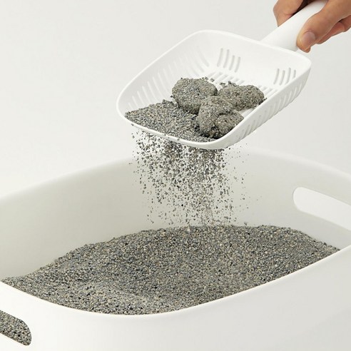 동원아르르 푸푸 베이직 벤토나이트 고양이 감자 생성 모습