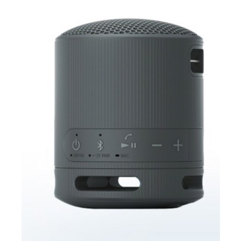 실내에서 사용하는 소니 SRS-XB100