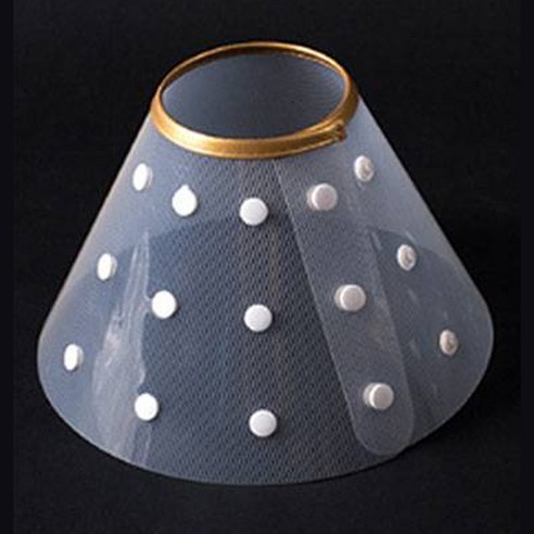 딩동펫 똑딱 깔때기 넥카라 솔직 후기 | 실제 사용자 리뷰 총정리 - 상품 이미지 1