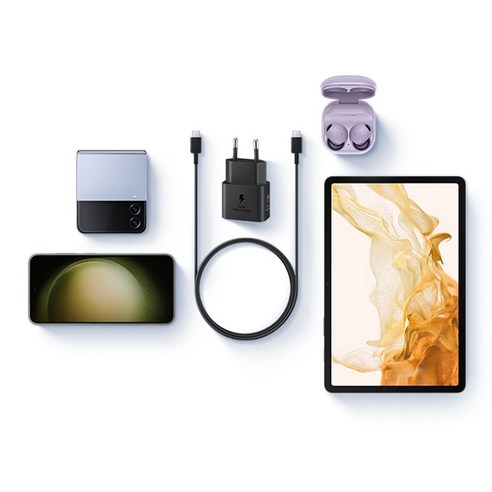 삼성전자 PD PPS GaN C타입 초고속 충전기 25W 이미지 3