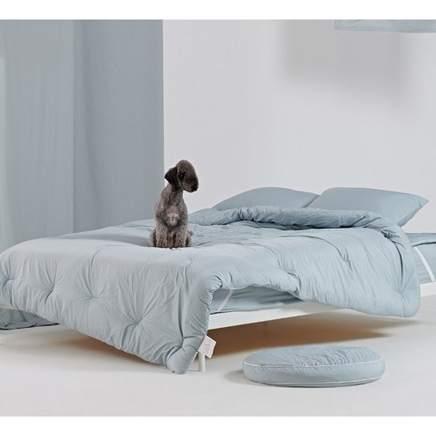 이제 털 때문에 소파와 이별하지 마세요